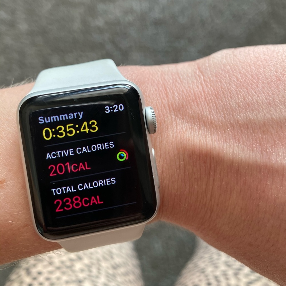 Series 3 Apple Watch (no GPS, no cellular)